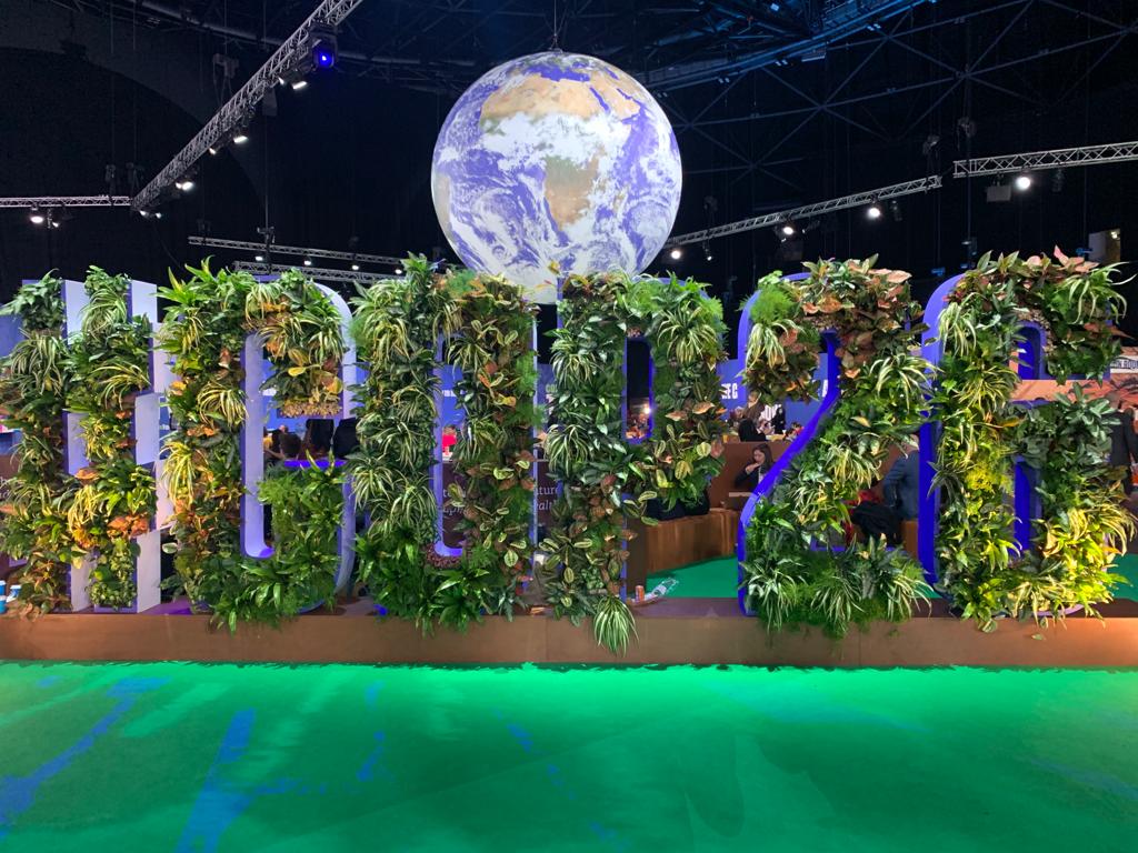 Net Zero 2050-A struggling ambitious plan
