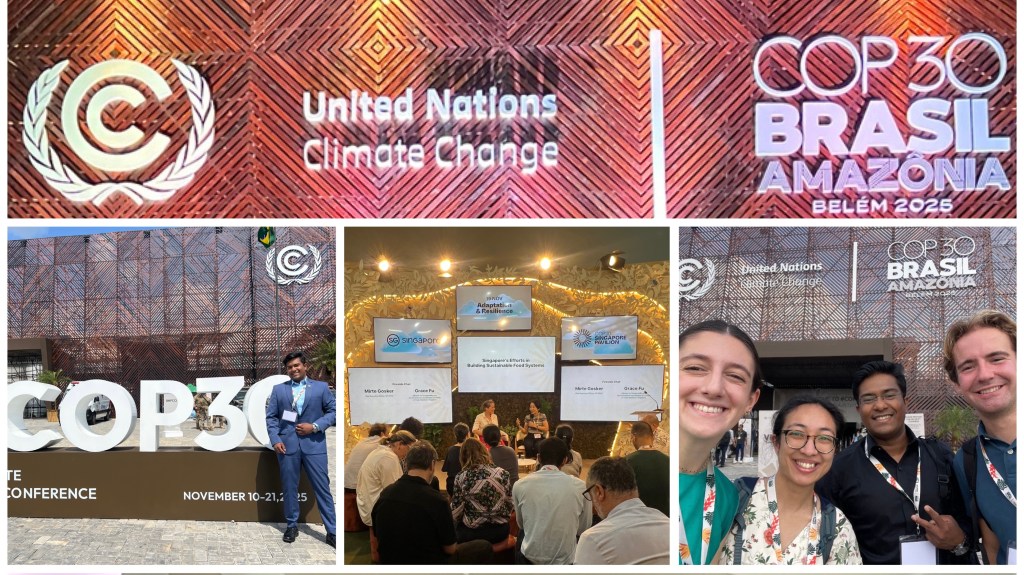 Viewing COP30 Through a Business Lens: What Negotiations Taught Me About Corporate Climate&nbsp;Action
