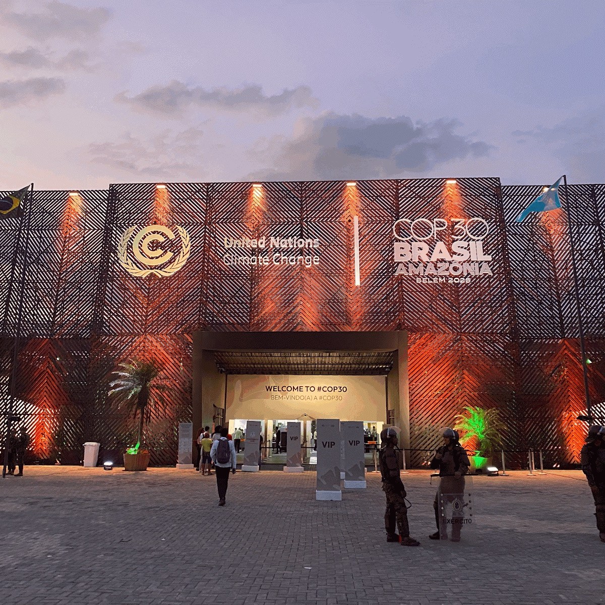 Seeing the forest through the trees: did the forest cop&nbsp;deliver?